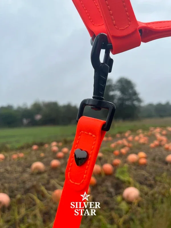 Podstawowy Limitowany zestaw: wodoodporny kantar i uwiąz 2 m
„Pumpkin Eclipse”