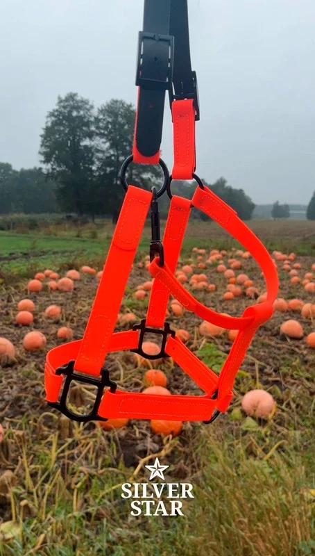 Podstawowy Limitowany zestaw: wodoodporny kantar i uwiąz 2 m
„Pumpkin Eclipse”