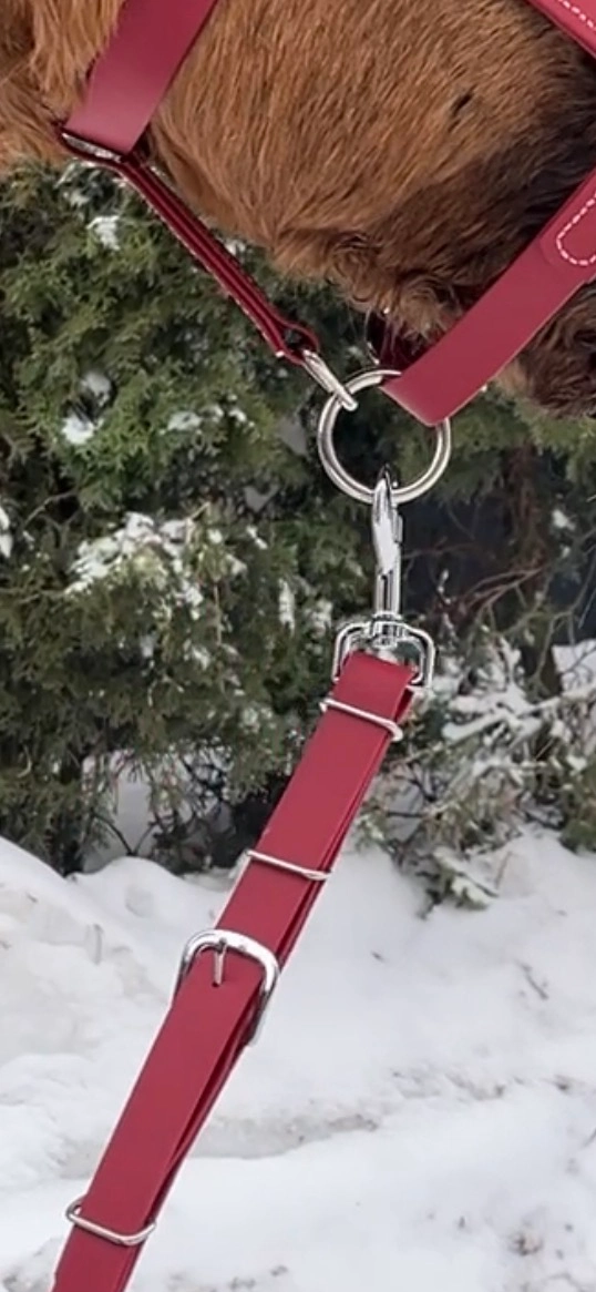 Podstawowy Uwiąz PVC 2 m Royal Velvet z wymiennym karabińczykiem