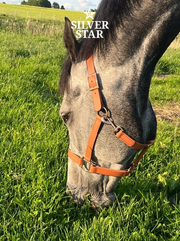 Basic PVC Halter Apricot Ice Cream with Rose Gold Hardware