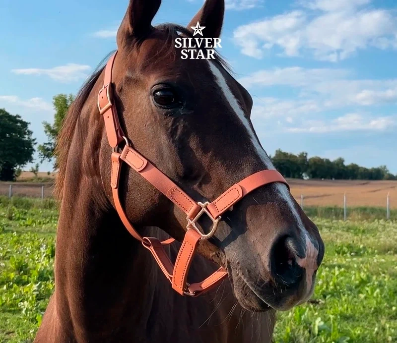 Basic PVC Halter Apricot Ice Cream with Rose Gold Hardware