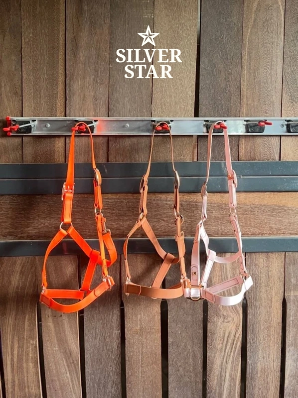 Podstawowy Kantar PVC Orange Sunset Rose Gold