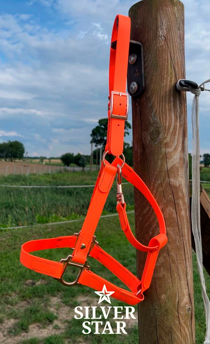 Podstawowy Kantar PVC Orange Sunset Rose Gold