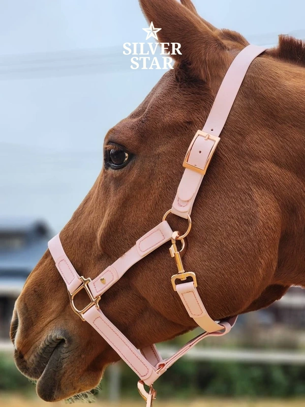 Podstawowy Kantar PVC Sweet as Candy Rose Gold