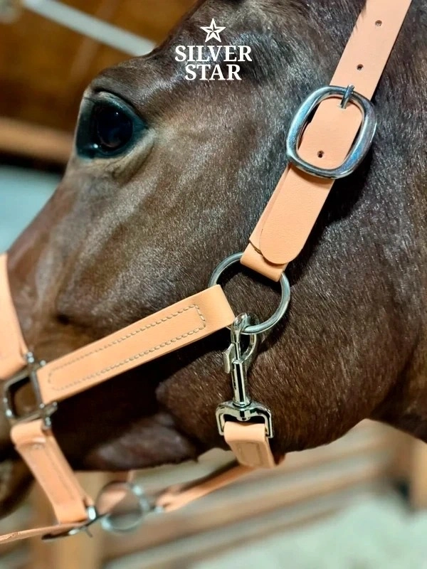 Basic PVC Halter with Double Adjustment “Harvest Beige” with Silver Hardware