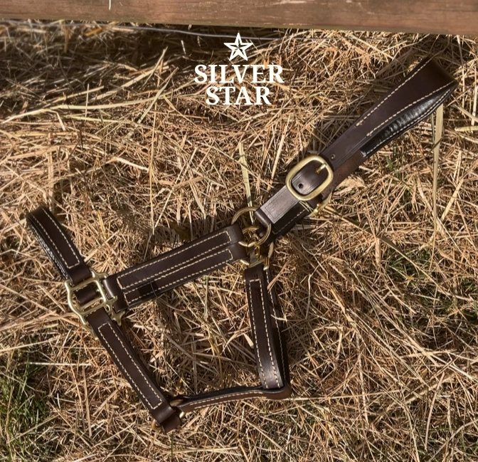 Premium Skórzany kantar „Chocolate Classic Anatomical No.1”