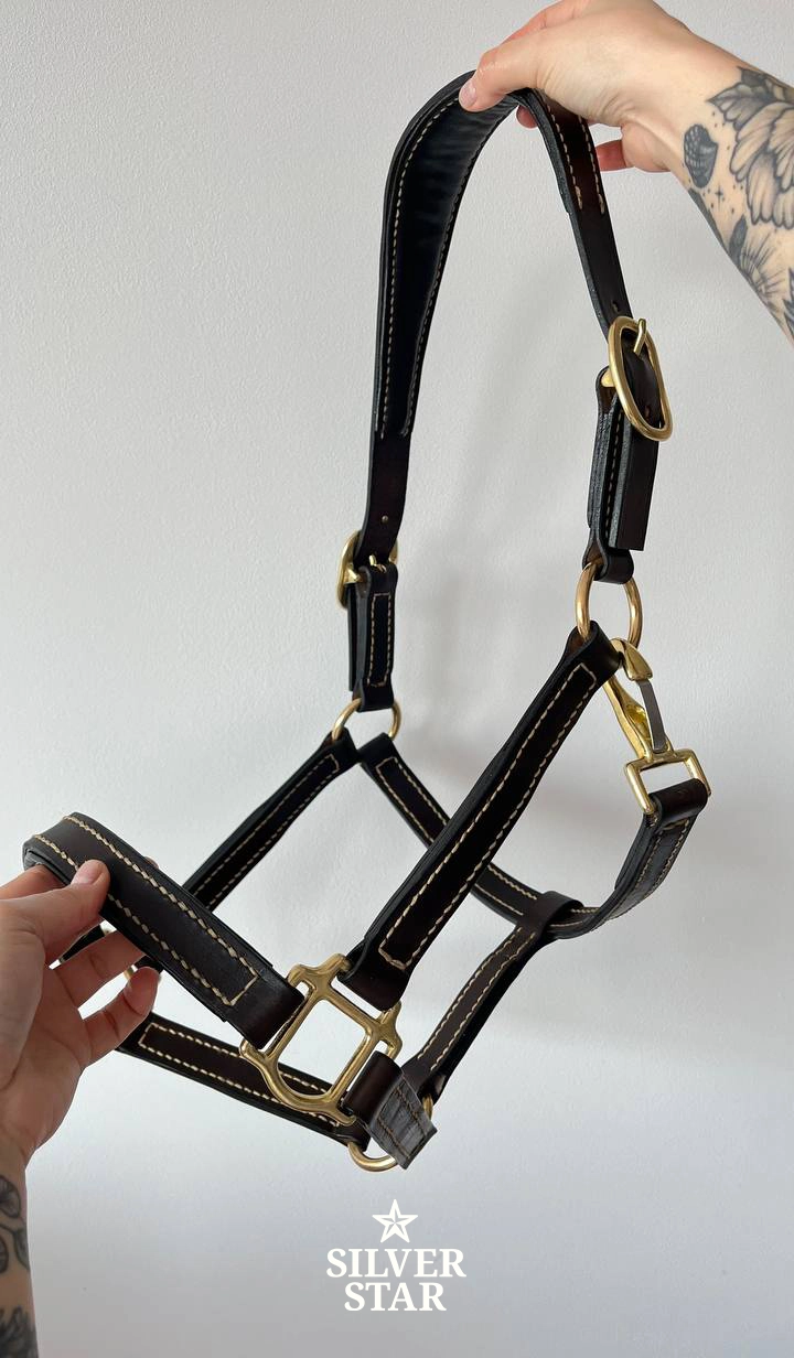 Premium Skórzany kantar „Chocolate Classic Anatomical No.1”