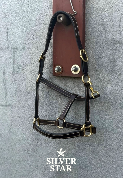 Premium Skórzany kantar „Chocolate Classic Anatomical No.1”