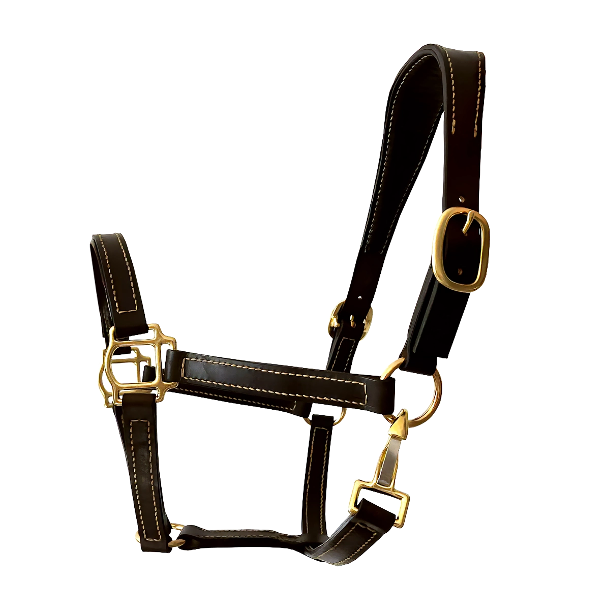 Premium Skórzany kantar „Chocolate Classic Anatomical No.1”