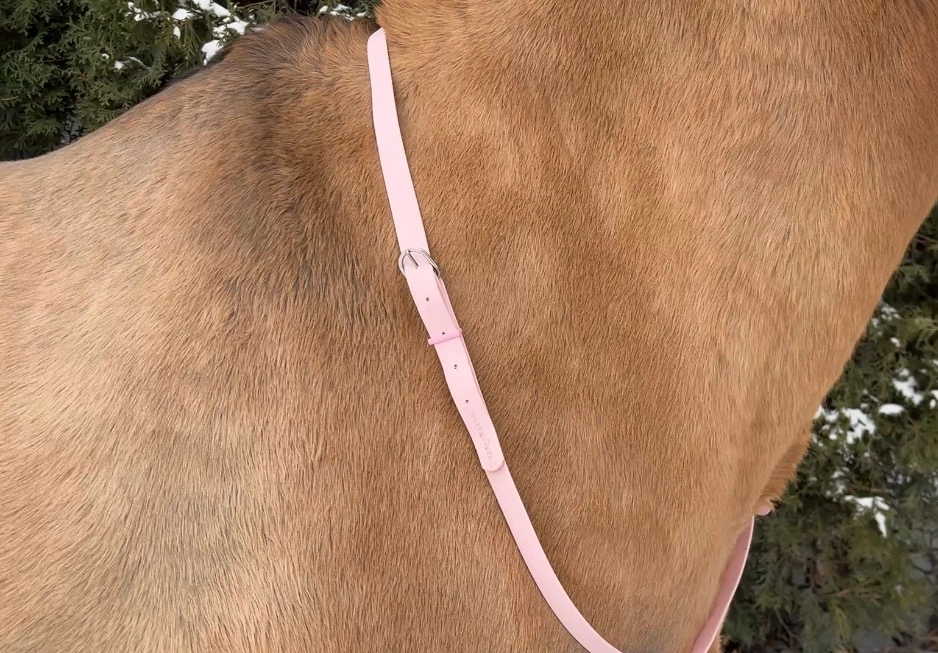 Podstawowy Regulowane cordeo z taśmy PVC „Sweet Candy”