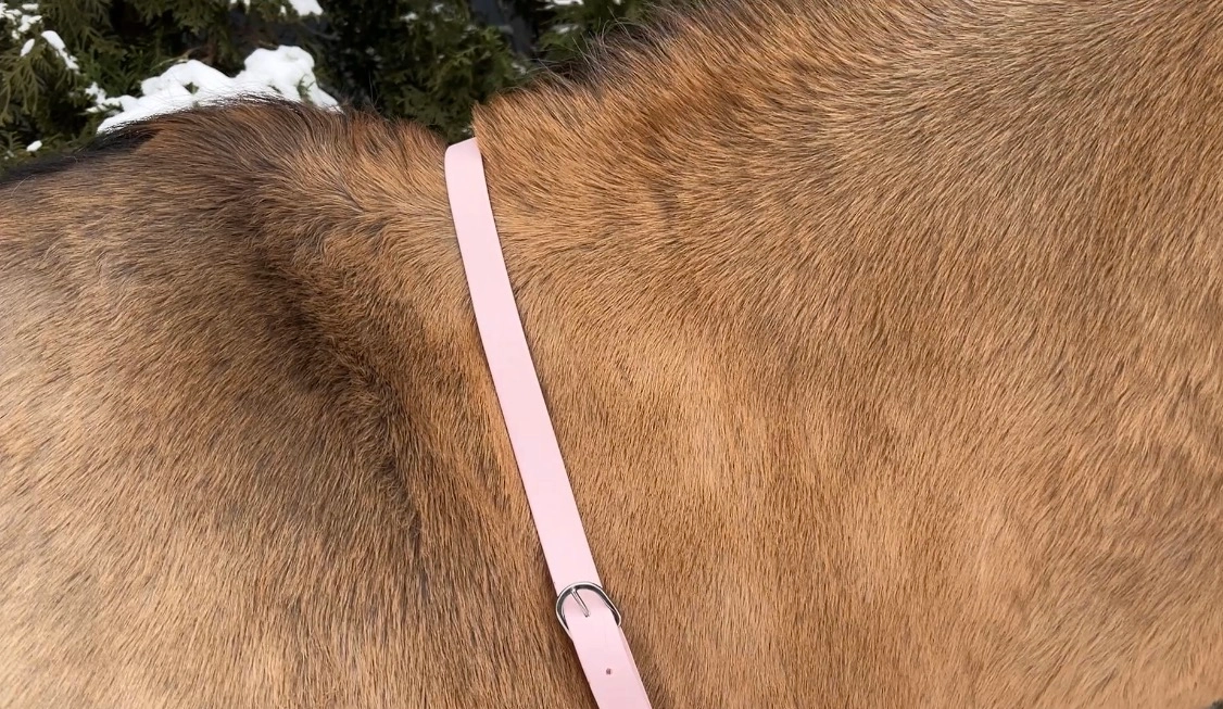 Podstawowy Regulowane cordeo z taśmy PVC „Sweet Candy”