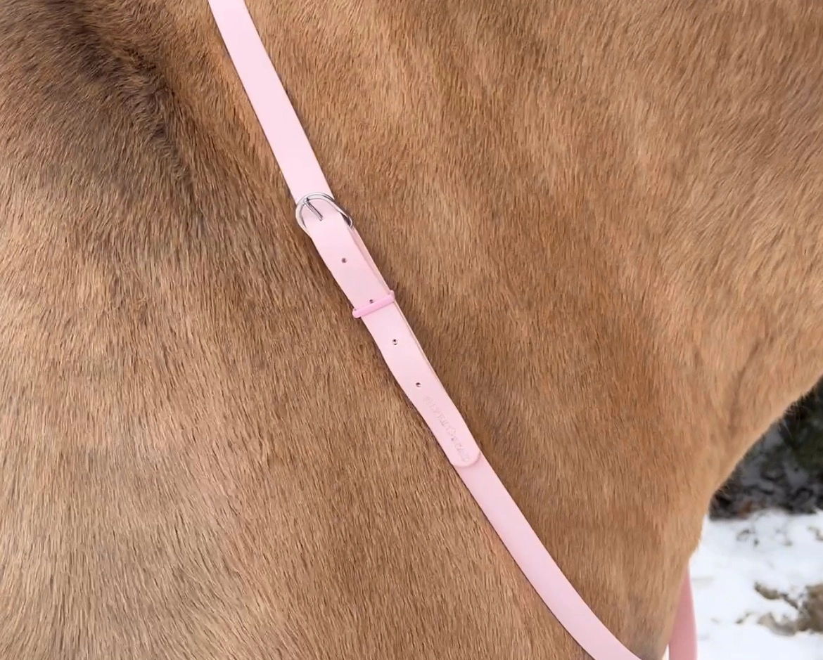 Podstawowy Regulowane cordeo z taśmy PVC „Sweet Candy”