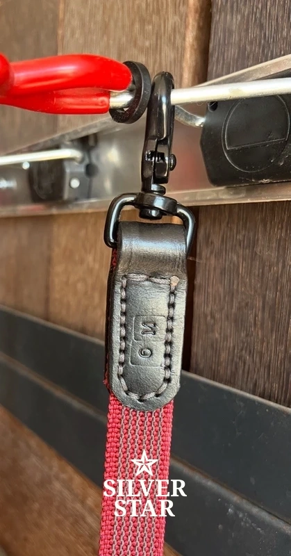 Podstawowa Lonża  z antypoślizgowej gumowanej taśmy „Ripe Sweet Cherry”