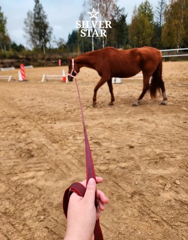 Podstawowa Lonża  „Ripe Sweet Cherry” z okuciami w kolorze różowego złota