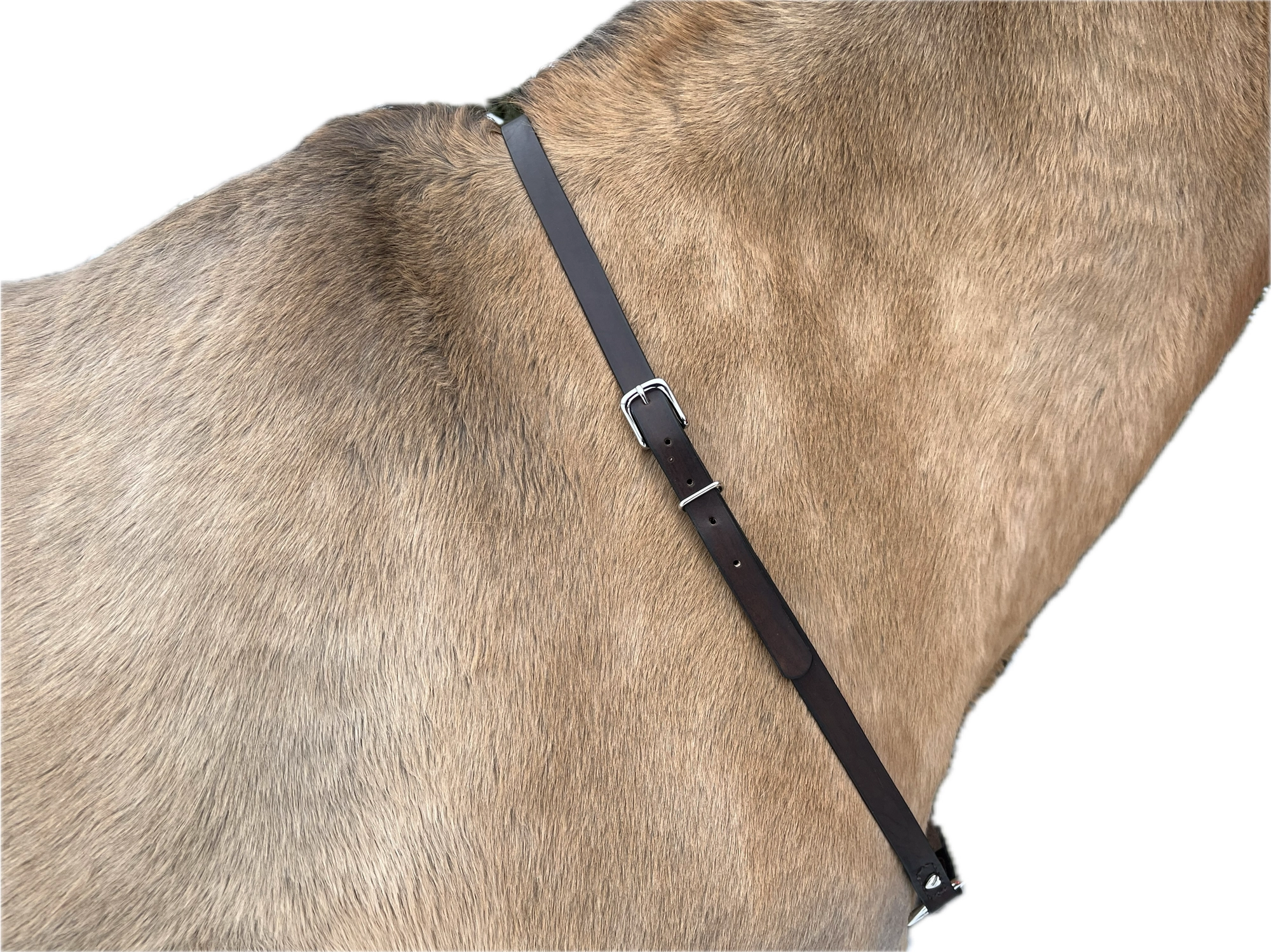 Premium Skórzane cordeo „Chocolate Heart” z podwójną regulacją i centralnym kółkiem