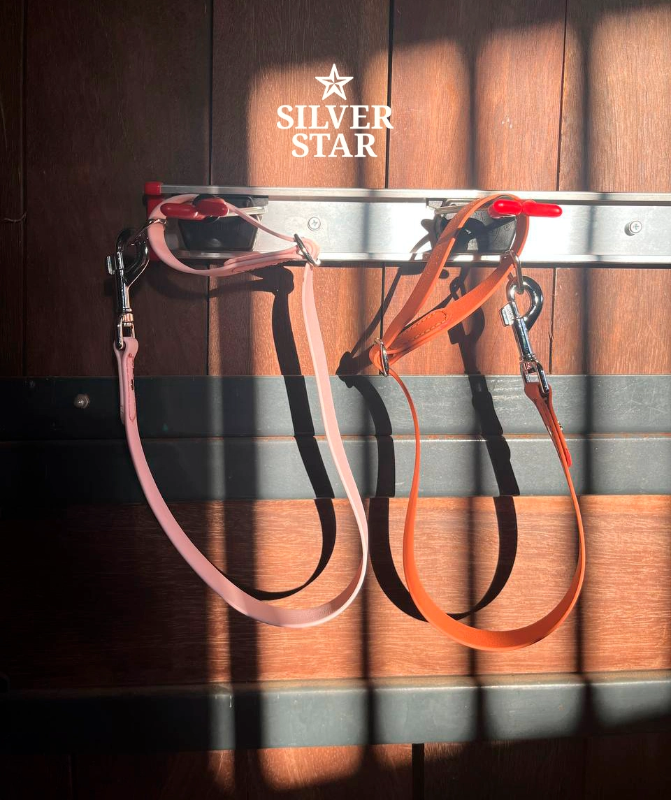 PVC Stable Strap Sweet as Candy 70 kg