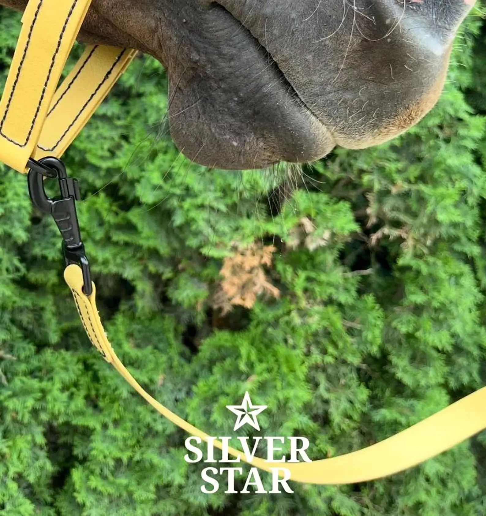 Базовый Чомбур PVC 2,4 м "Mustard Gold"