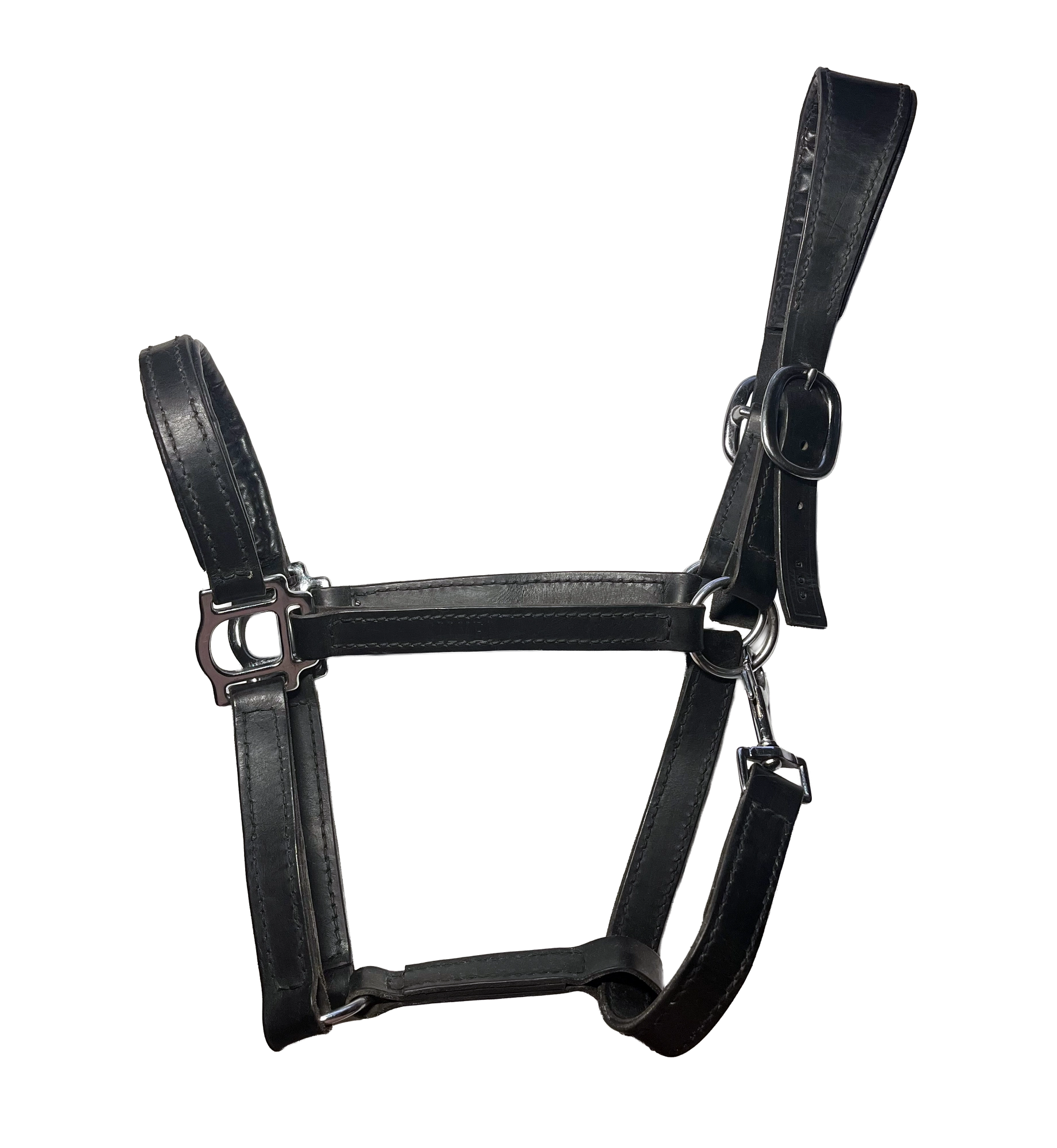 Skórzany kantar Black Anatomical Classic Nr 1