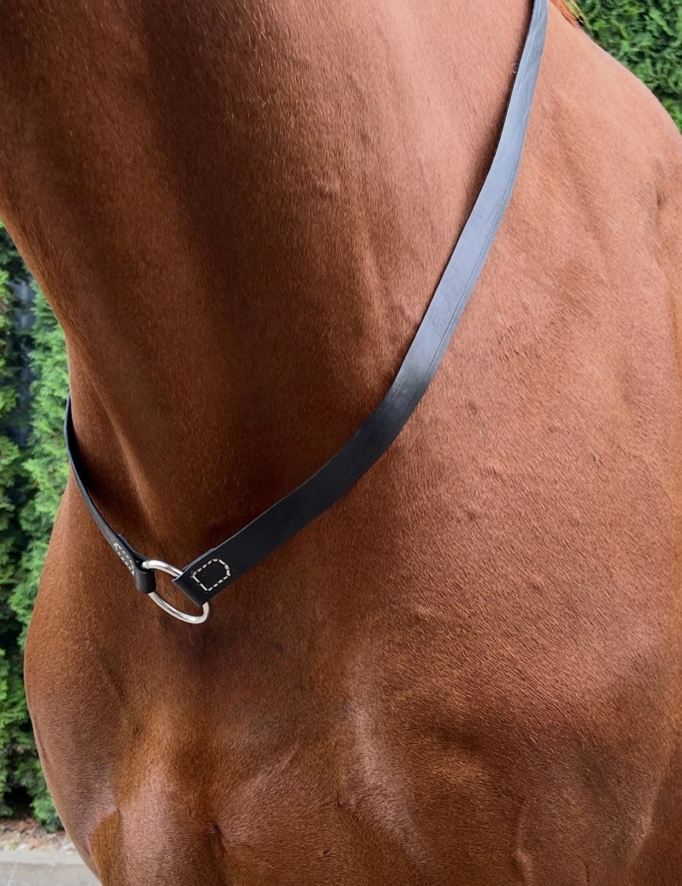 Black Pearl Leather Cordeo 🖤✨