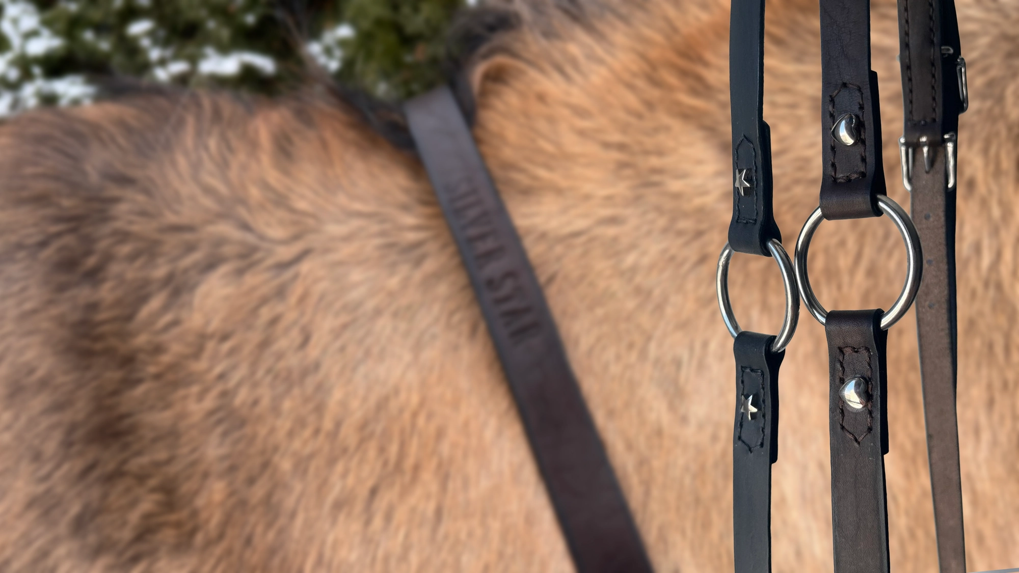 Leather cordeo SILVER STAR