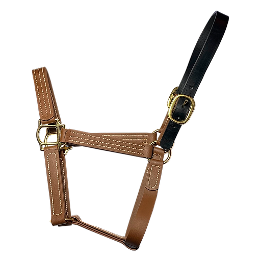 Premium Reinforced PVC Halter with Leather Poll Strap
“Chestnut Bark”