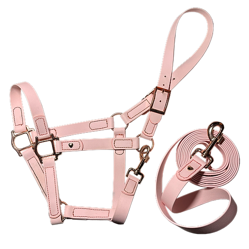 Basic Halter & Lead Rope Set 2.4 m Sweet as Candy