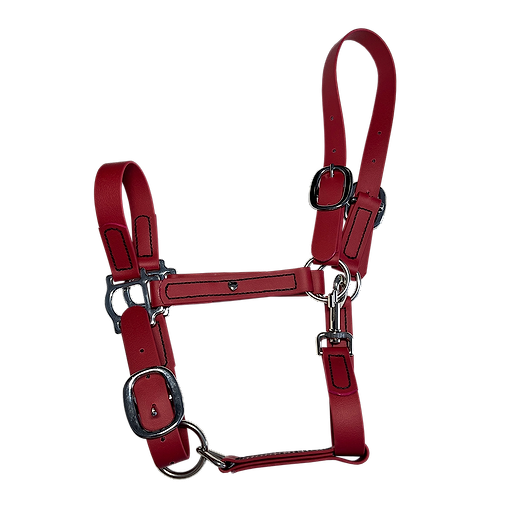 Basic PVC Halter with Double Adjustment “Royal Velvet” with Silver Hardware
