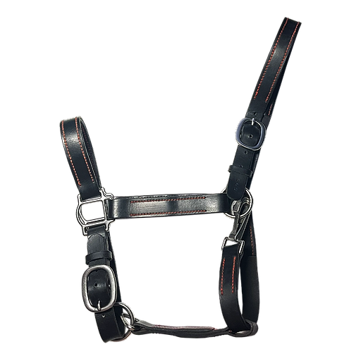 Premium Leather Halter “Black Line Comfort No.2”