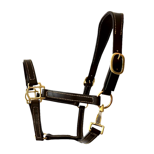 Premium Leather Halter “Chocolate Classic Anatomical No.1”